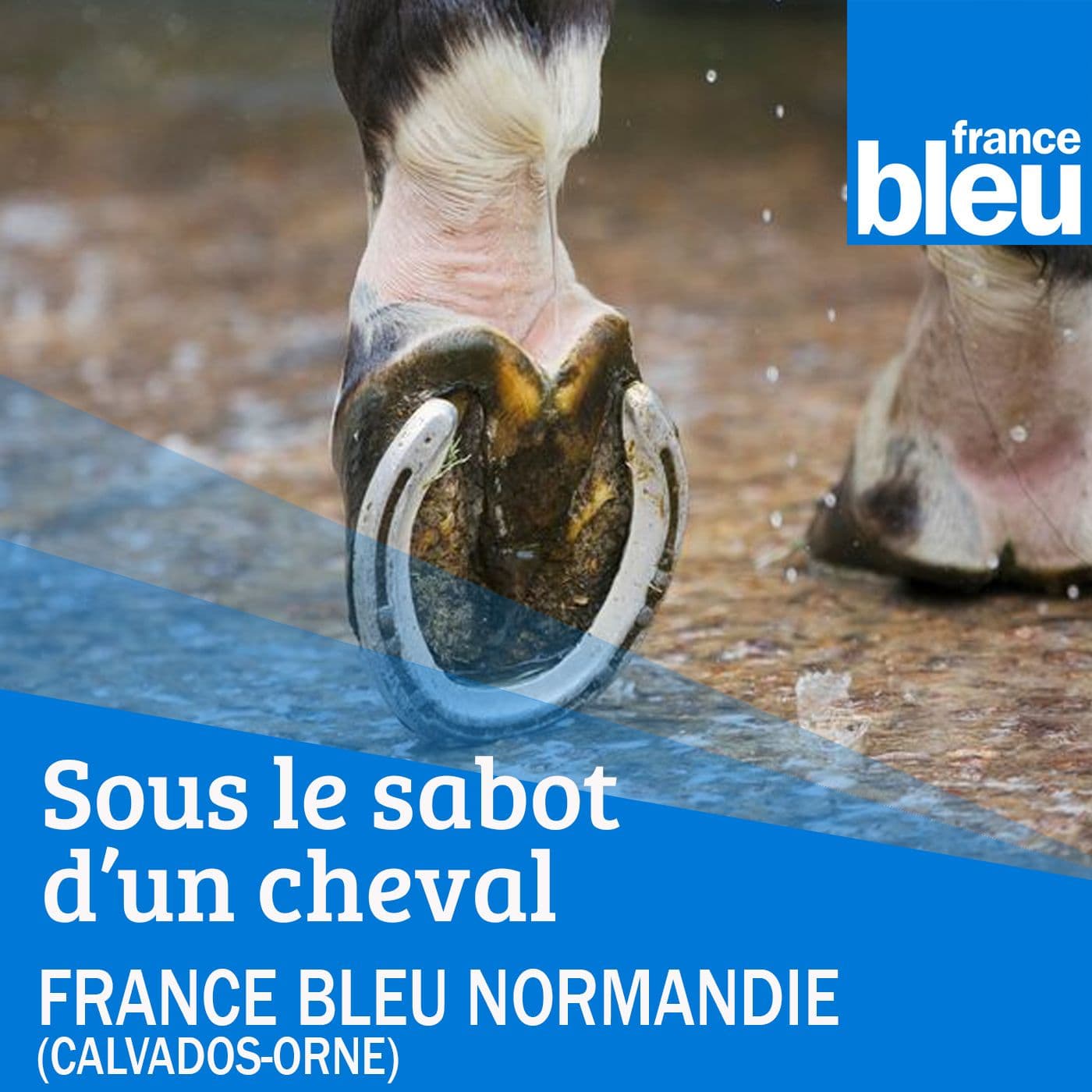 Sous le sabot d'un cheval - FB Normandie (Caen)