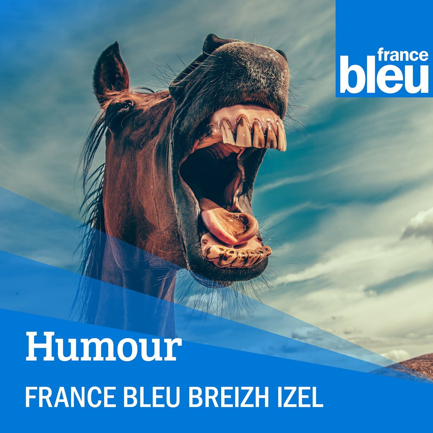 Un peu moins bête ce soir - Podcasts