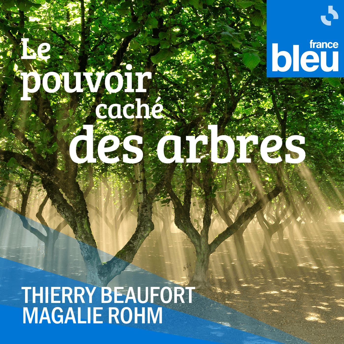 Le pouvoir caché des arbres - Podcasts