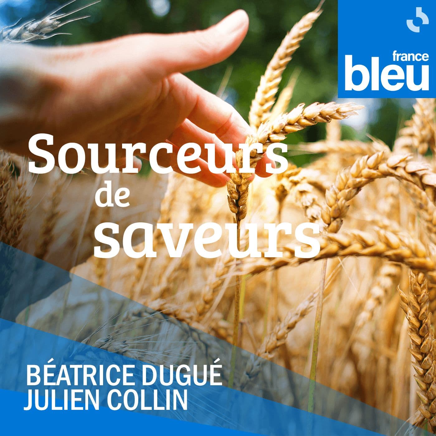 Sourceurs de saveurs - Podcasts
