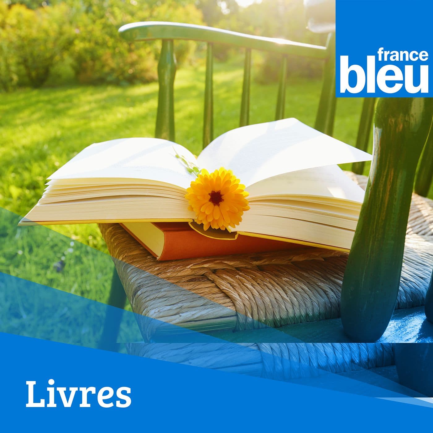 Le livre de l'été - France Bleu Belfort Montbéliard - Podcasts
