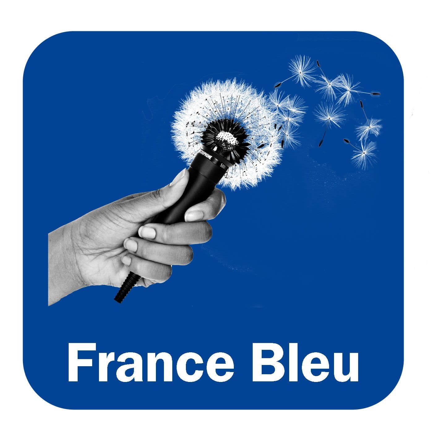 La petite bête qui monte