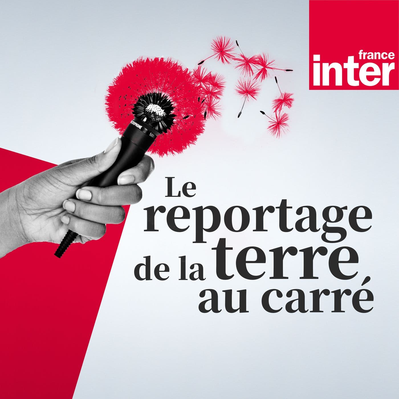 Le reportage de la terre au carré - Podcasts