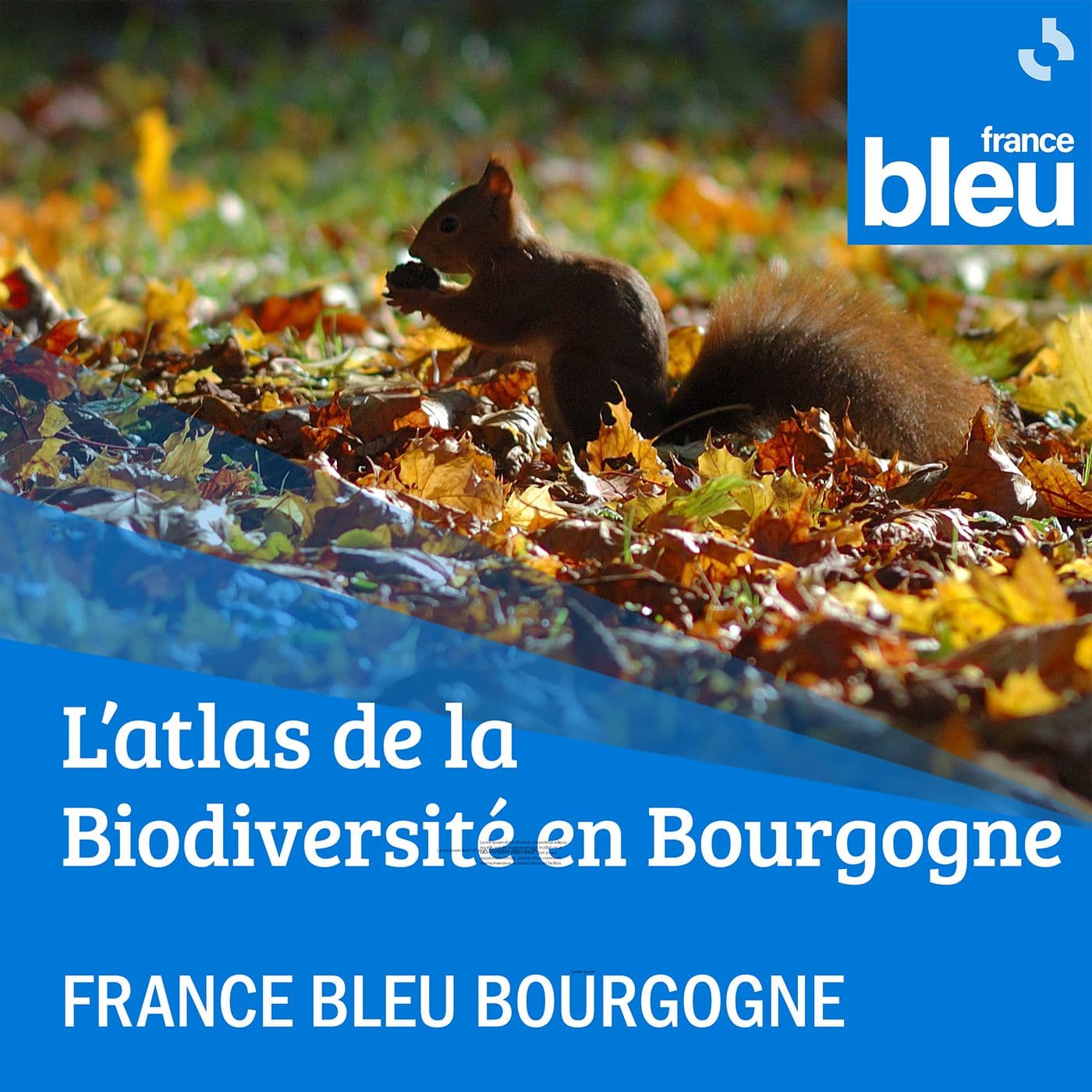 L'atlas de la Biodiversité en Bourgogne - Podcasts