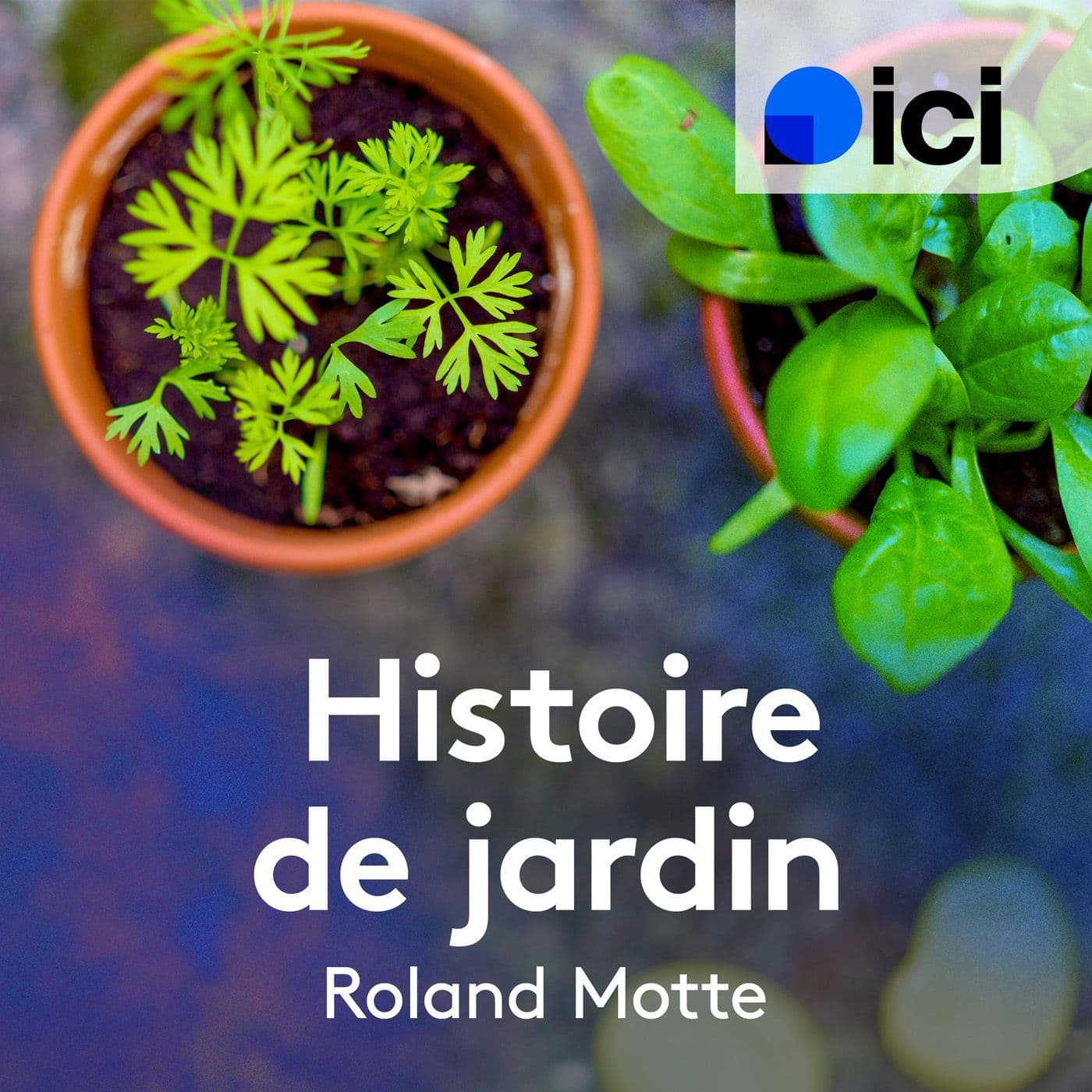 Histoire de jardin aujourd'hui en Lorraine - ICI Lorraine - Podcasts