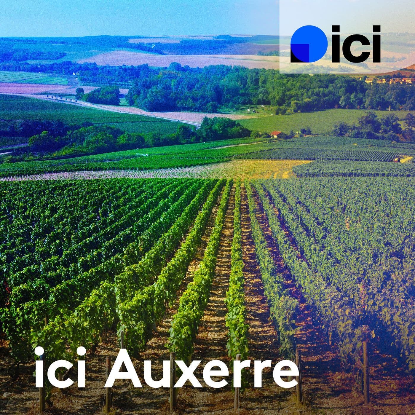 100% Sport, la chronique, ICI Auxerre - Podcasts