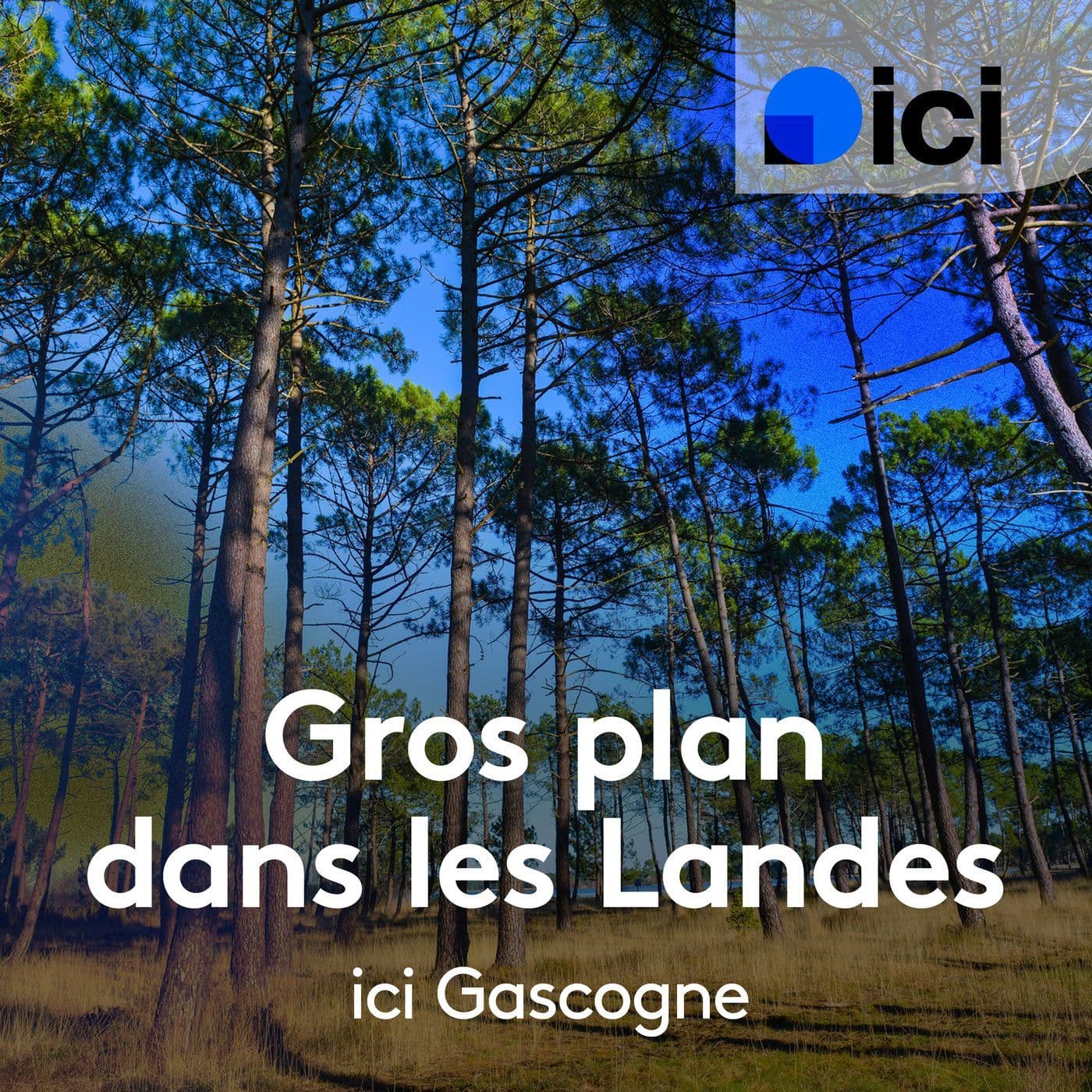 Le gros plan dans les Landes - Podcasts