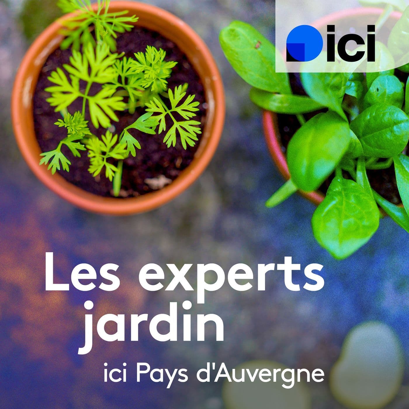 Les experts jardin, ici Pays d'Auvergne - Podcast