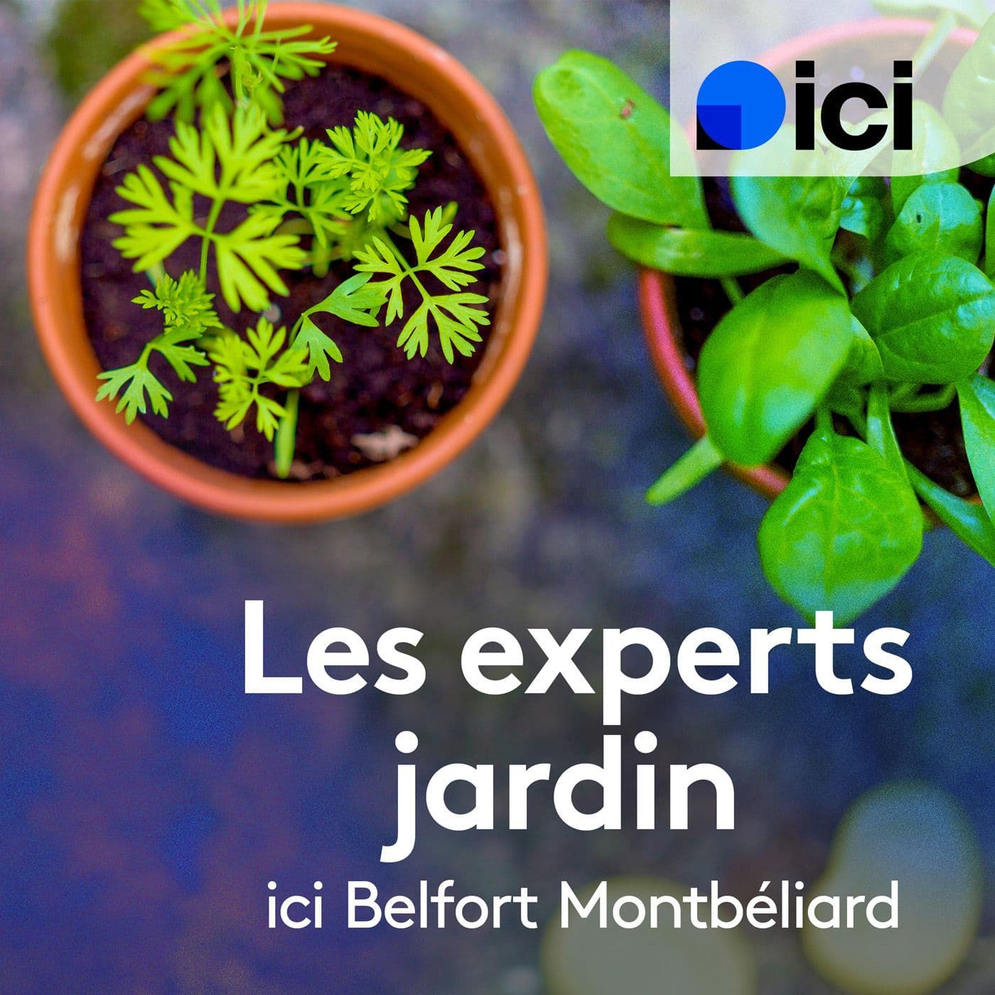 Les experts jardin, ICI Belfort Montbéliard - Podcast