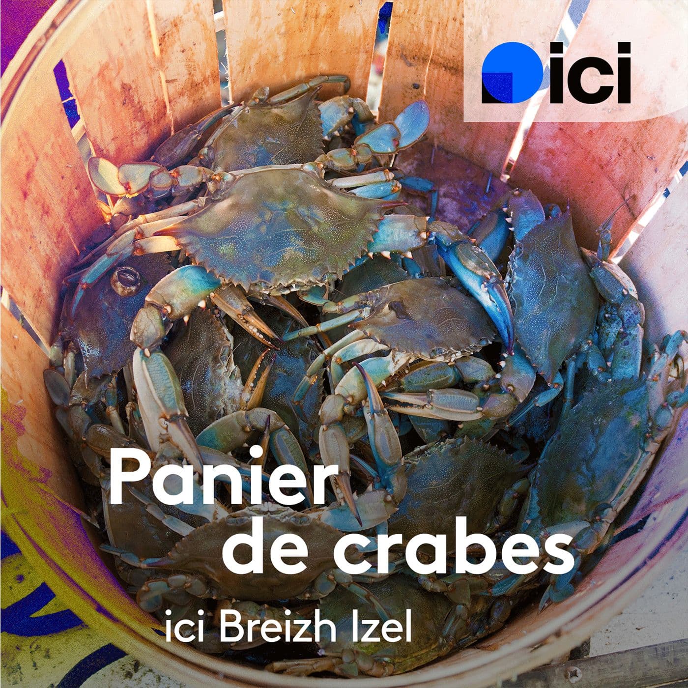 Panier de crabes - Podcasts