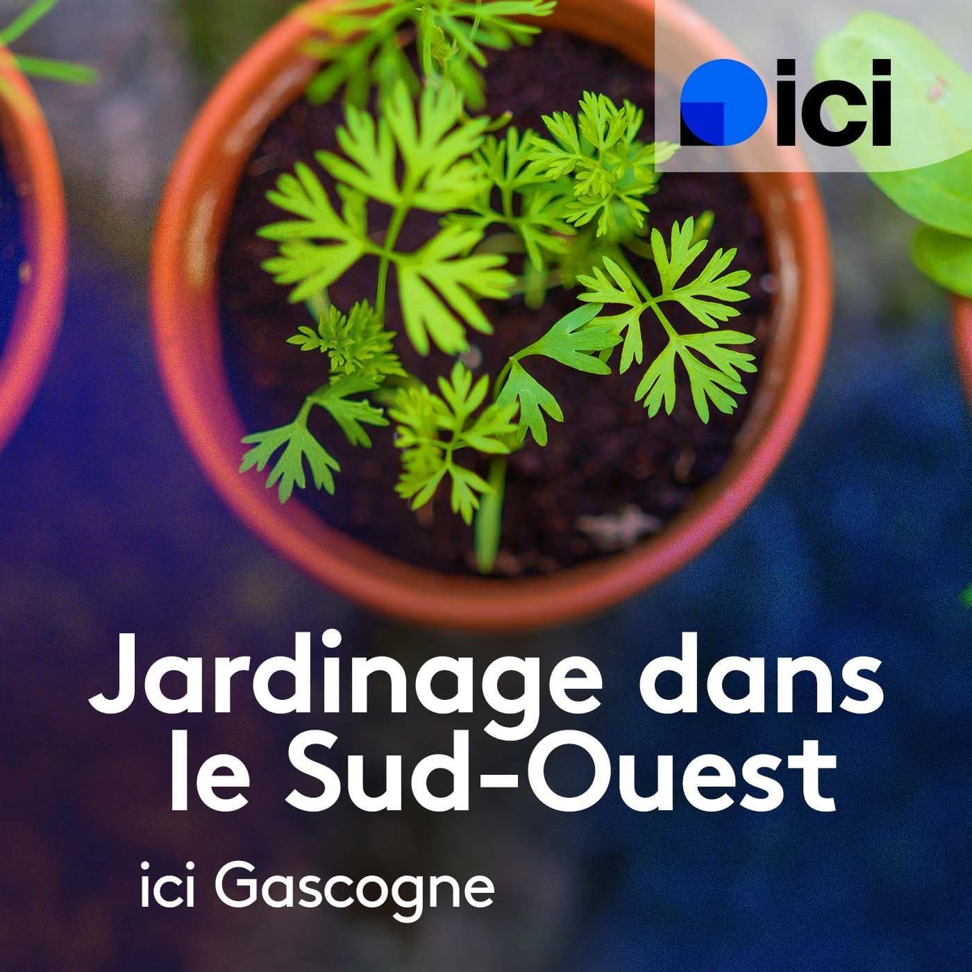 Jardinez dans le Sud-Ouest - Podcasts