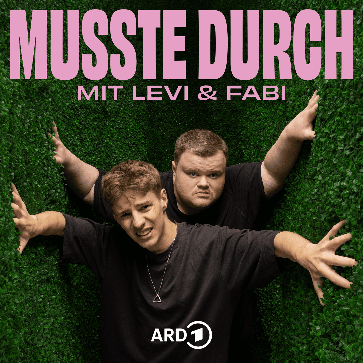 Musste Durch – mit Levi & Fabi - Podcasts