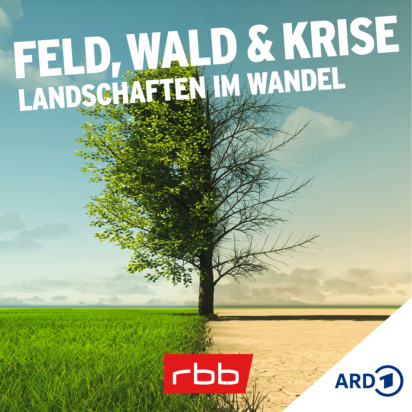 Feld, Wald und Krise – Landschaften im Wandel - Podcast