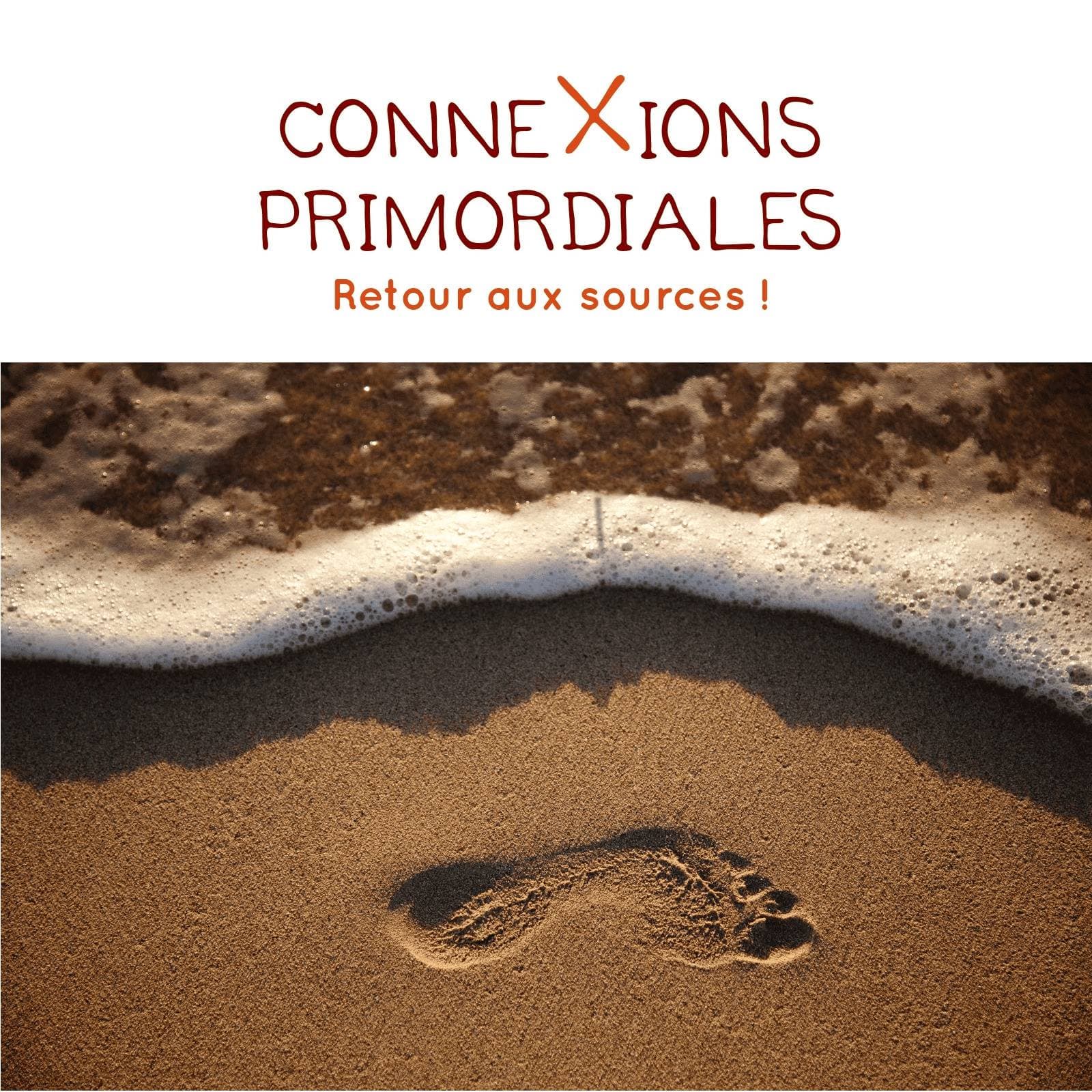 Connexions primordiales : réflexes archaïques, IMP, mouvement, apprentissage - Podcast