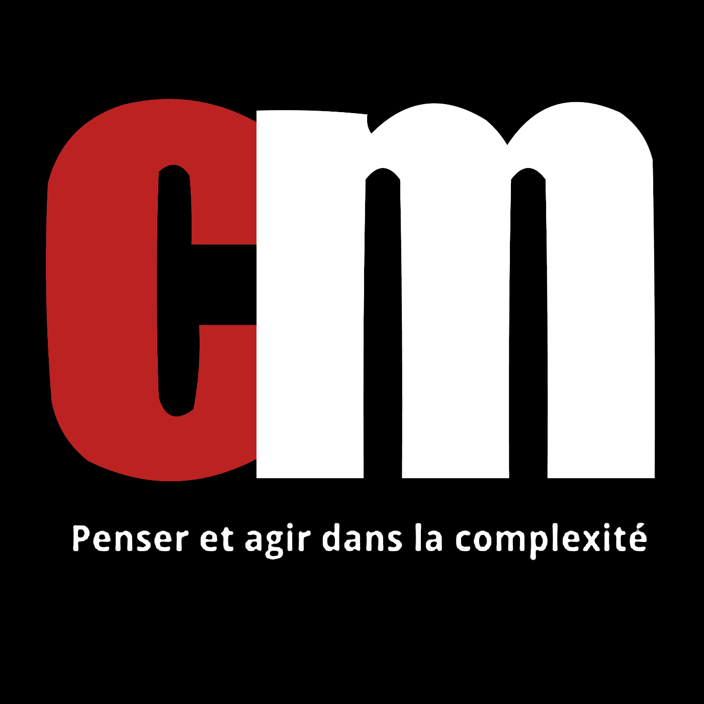 Séminaire comprendre et agir dans la complexité : pour une théorie de la situation - Podcasts