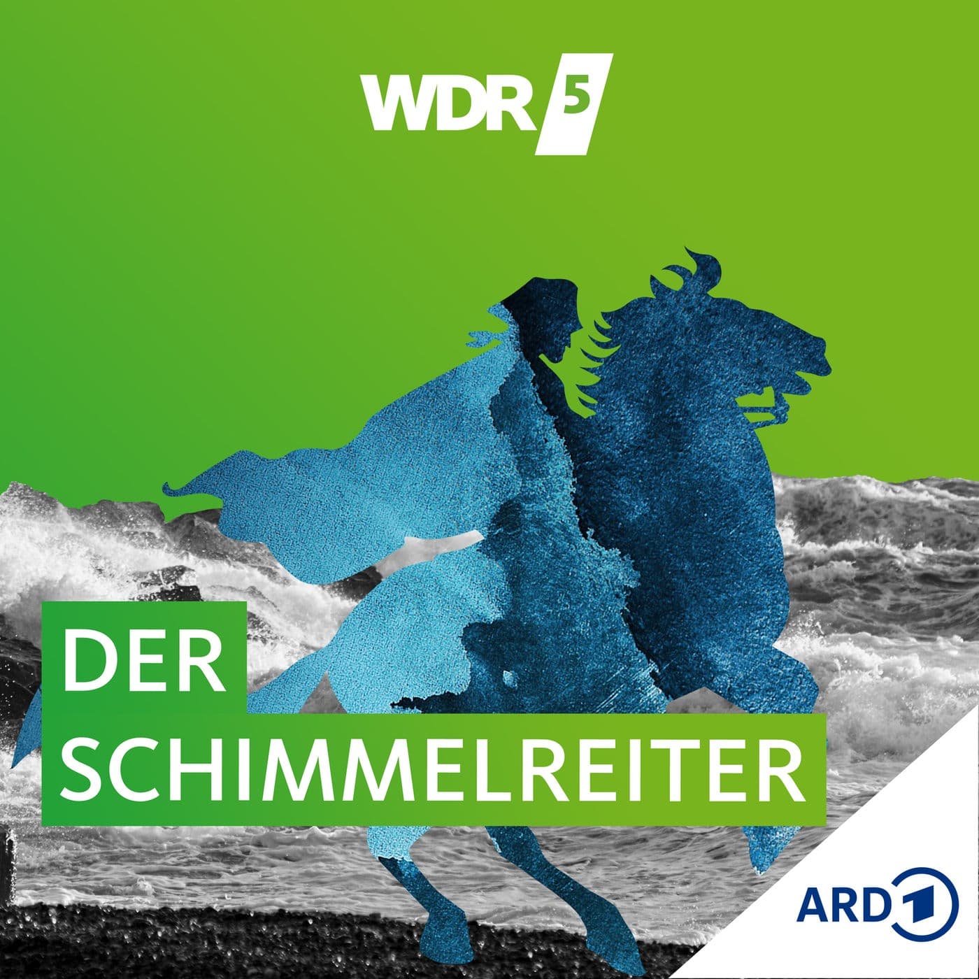 WDR 5 Der Schimmelreiter - Hörbuch